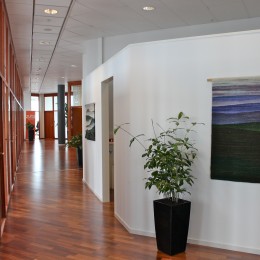 Lill Sjöström "Thirty first floor" - Solo exhibition in Kista Science Tower, Stockholm